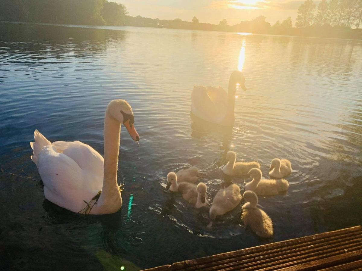 Lakeside Retreat 3 With Hot Tub, Private Fishing Peg Situated At Tattershall Lakes Country Park Eksteriør billede